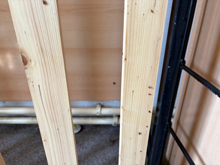 009: Štěnice na rámu postele - detail